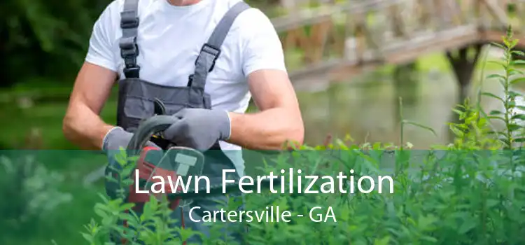 Lawn Fertilization Cartersville - GA