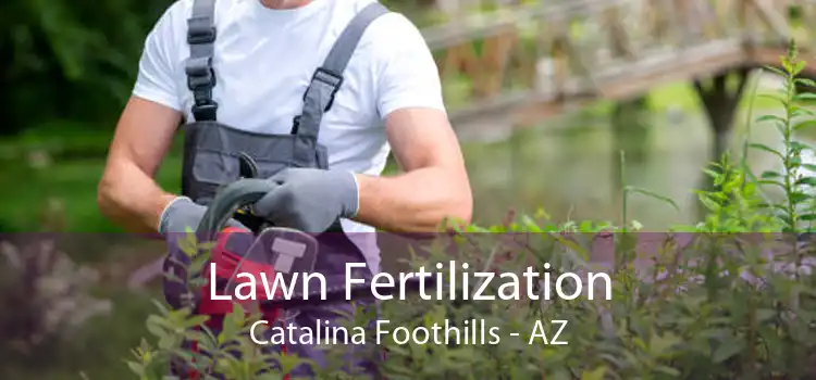 Lawn Fertilization Catalina Foothills - AZ