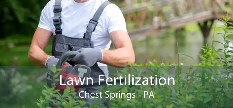 Lawn Fertilization Chest Springs - PA