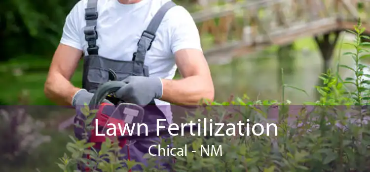Lawn Fertilization Chical - NM