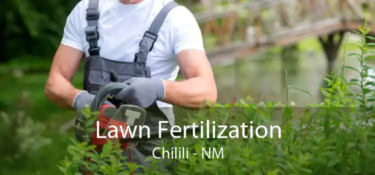 Lawn Fertilization Chilili - NM