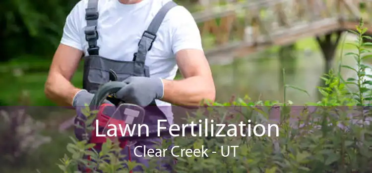 Lawn Fertilization Clear Creek - UT