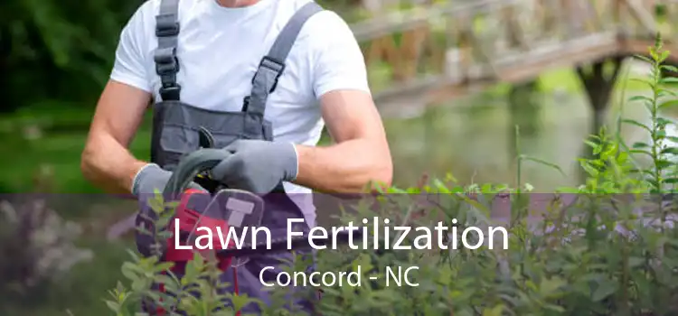 Lawn Fertilization Concord - NC