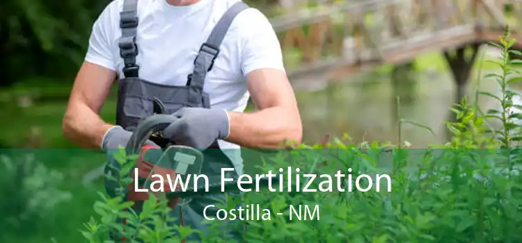 Lawn Fertilization Costilla - NM