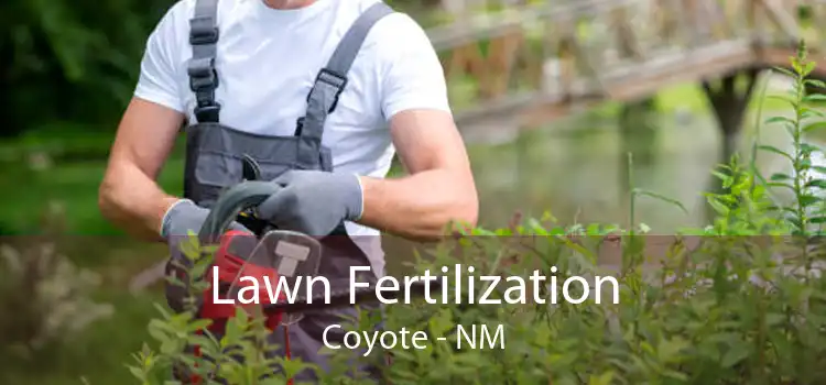 Lawn Fertilization Coyote - NM