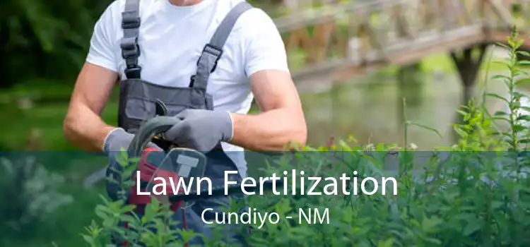 Lawn Fertilization Cundiyo - NM