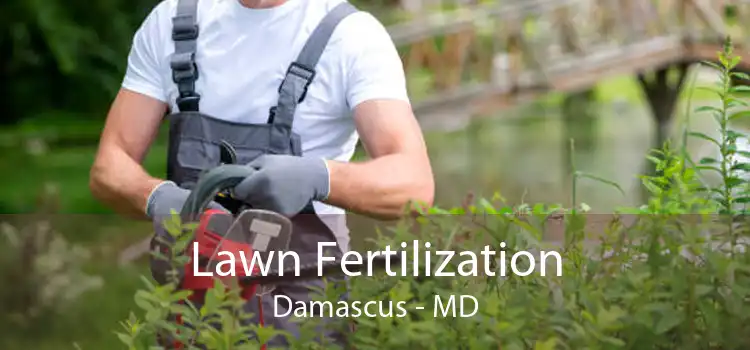  Lawn Fertilization Damascus - MD