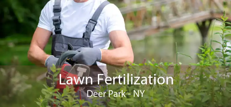 Lawn Fertilization Deer Park - NY