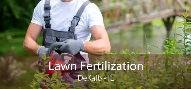  Lawn Fertilization DeKalb - IL
