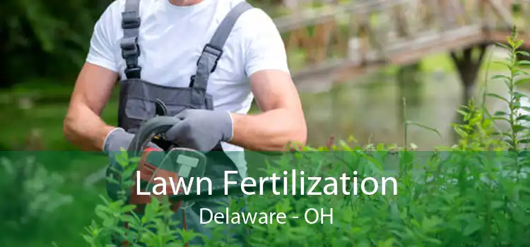 Lawn Fertilization Delaware - OH