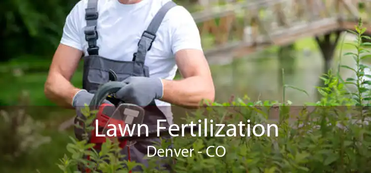 Lawn Fertilization Denver - CO