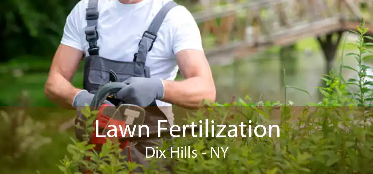 Lawn Fertilization Dix Hills - NY