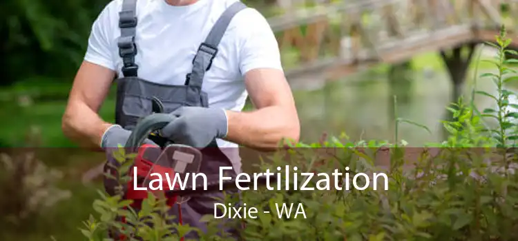 Lawn Fertilization Dixie - WA