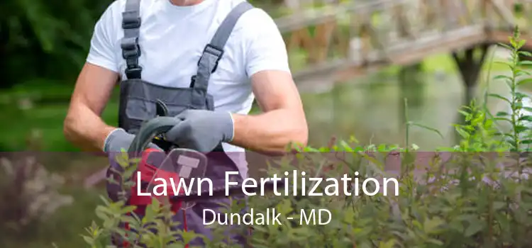 Lawn Fertilization Dundalk - MD