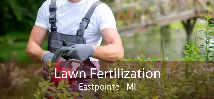 Lawn Fertilization Eastpointe - MI