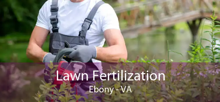 Lawn Fertilization Ebony - VA