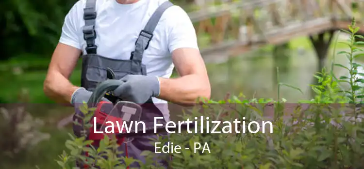 Lawn Fertilization Edie - PA