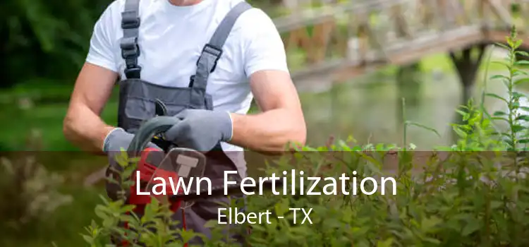 Lawn Fertilization Elbert - TX