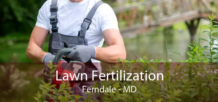  Lawn Fertilization Ferndale - MD