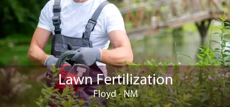 Lawn Fertilization Floyd - NM