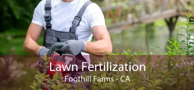 Lawn Fertilization Foothill Farms - CA