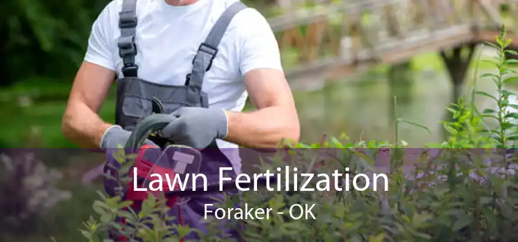 Lawn Fertilization Foraker - OK