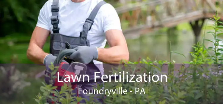 Lawn Fertilization Foundryville - PA