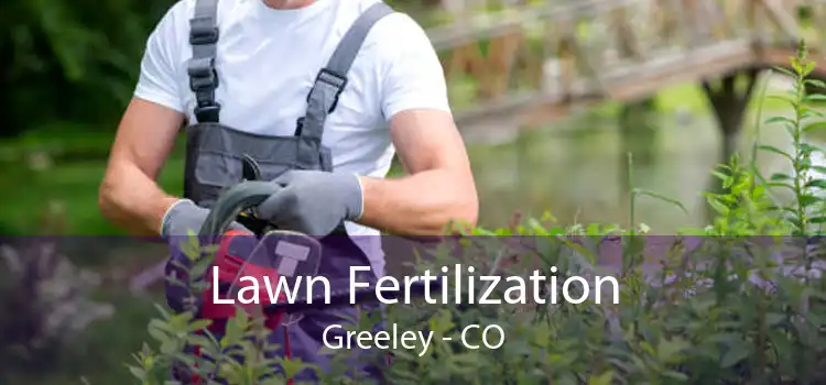 Lawn Fertilization Greeley - CO