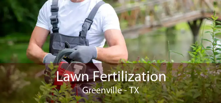 Lawn Fertilization Greenville - TX