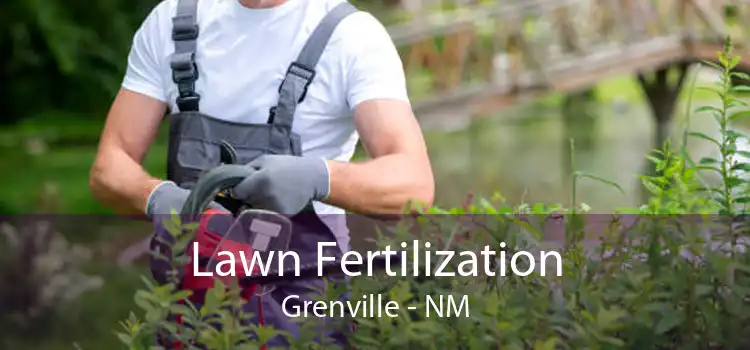 Lawn Fertilization Grenville - NM