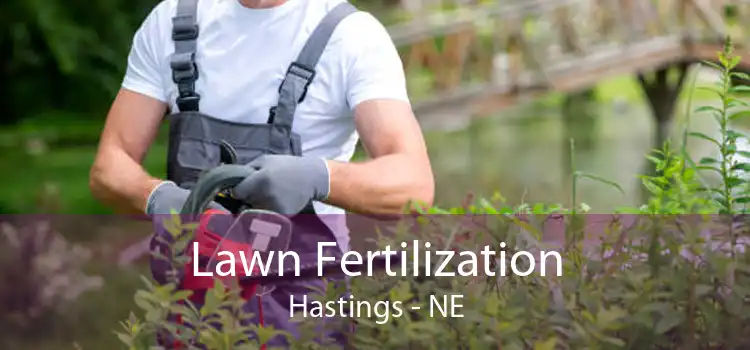 Lawn Fertilization Hastings - NE