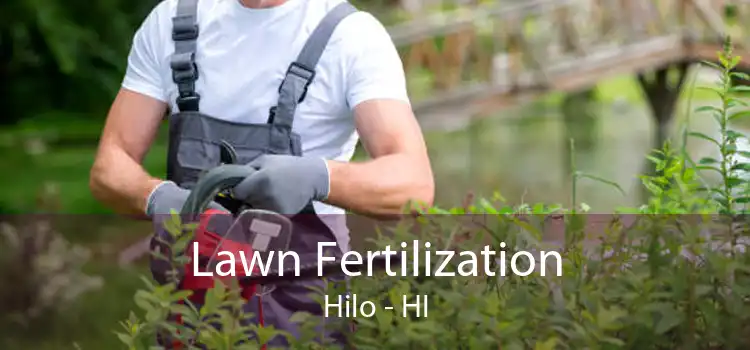 Lawn Fertilization Hilo - HI