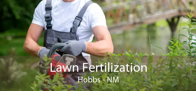 Lawn Fertilization Hobbs - NM