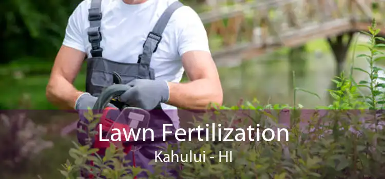 Lawn Fertilization Kahului - HI