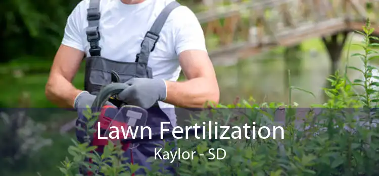 Lawn Fertilization Kaylor - SD