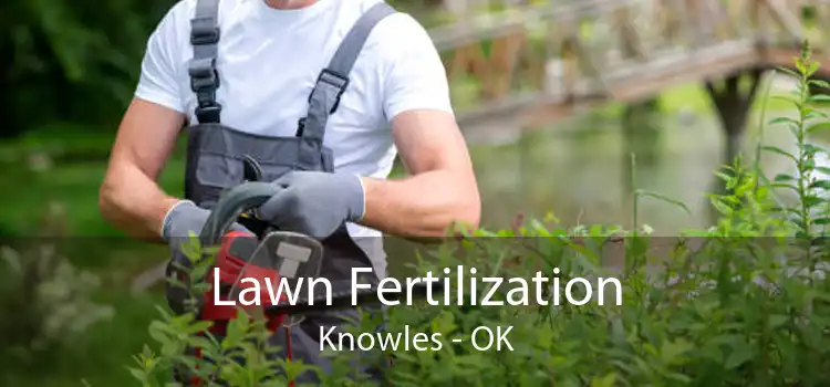 Lawn Fertilization Knowles - OK