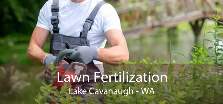 Lawn Fertilization Lake Cavanaugh - WA
