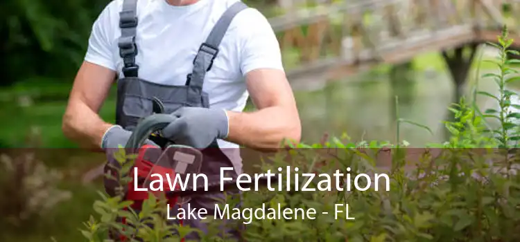 Lawn Fertilization Lake Magdalene - FL