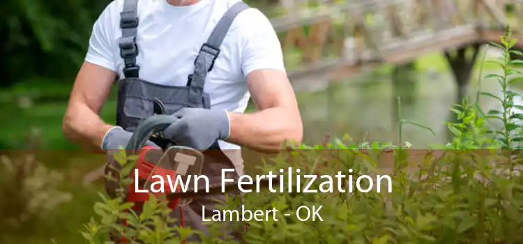  Lawn Fertilization Lambert - OK