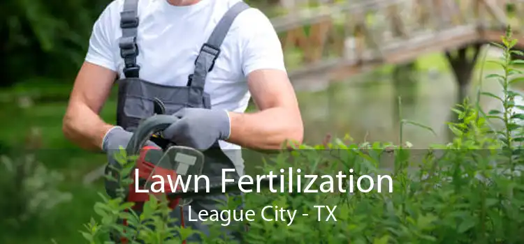 Lawn Fertilization League City - TX