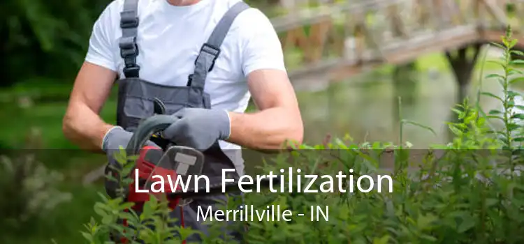 Lawn Fertilization Merrillville - IN