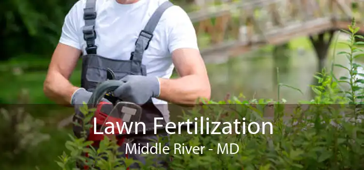 Lawn Fertilization Middle River - MD