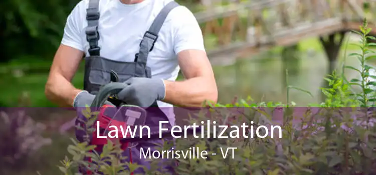 Lawn Fertilization Morrisville - VT