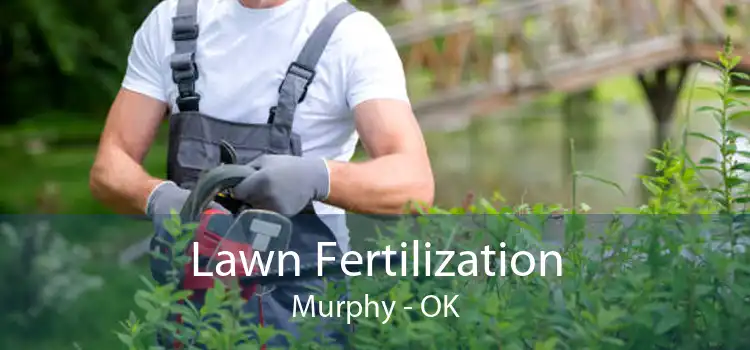 Lawn Fertilization Murphy - OK