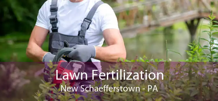 Lawn Fertilization New Schaefferstown - PA