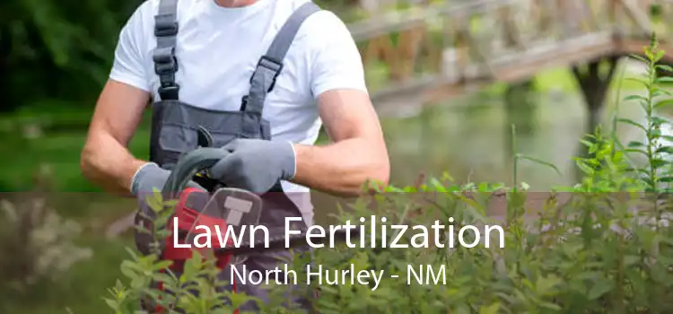 Lawn Fertilization North Hurley - NM
