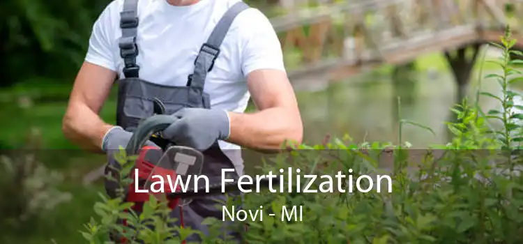 Lawn Fertilization Novi - MI