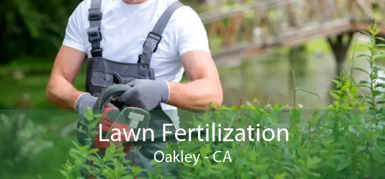 Lawn Fertilization Oakley - CA