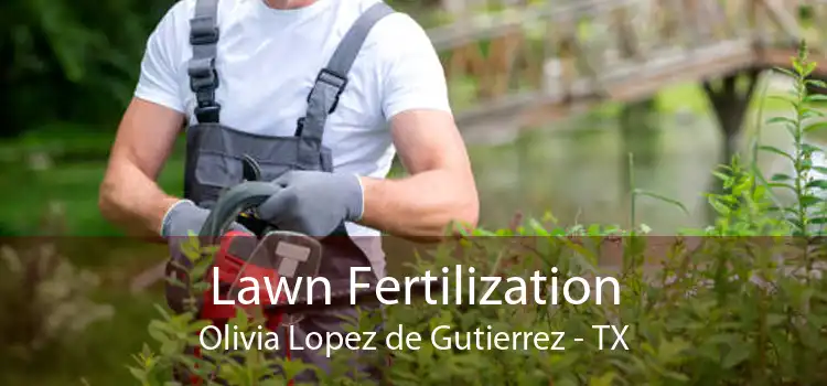 Lawn Fertilization Olivia Lopez de Gutierrez - TX