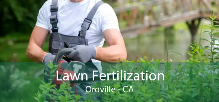 Lawn Fertilization Oroville - CA